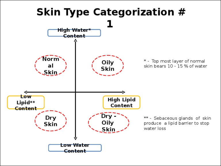 Skin Type Categorization Guide | PDF | Home & Garden | Technology ...