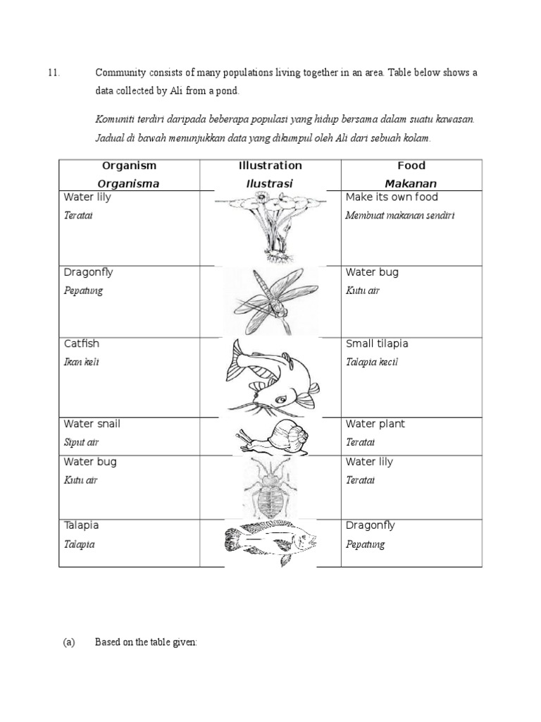 SOALAN PT3 SAINS