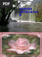 A Prece e o Pens Amen To Construtivo