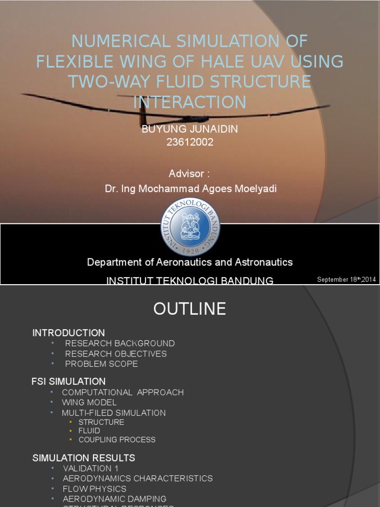 HALE UAV Wing Simulation Study | PDF | Young's Modulus | Wing