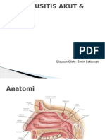 Rinosinusitis Akut & Kronik