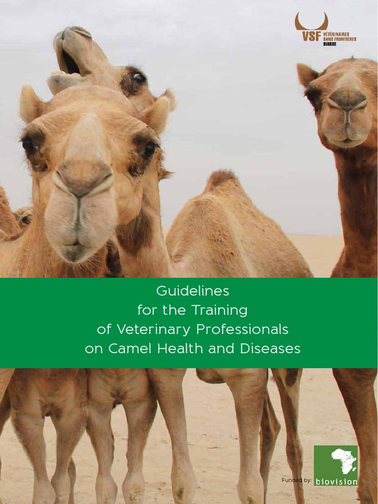 Guidelines For The Training of Veterinary Professionals On Camel Health and Diseases | PDF ...