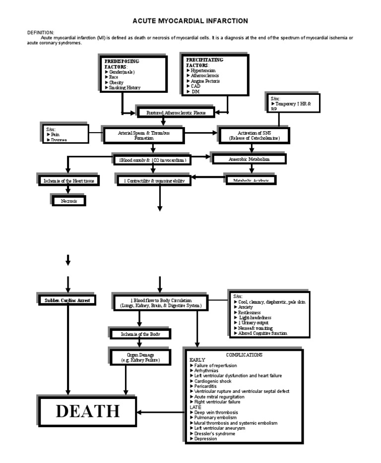 Understanding Acute Myocardial Infarction | PDF | Myocardial Infarction ...