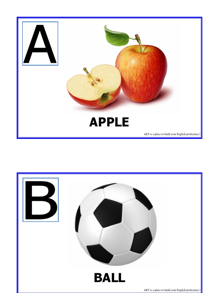 Summer Course Flashcards | PDF