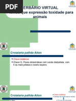 Plantas Tóxicas Chave Botanicapptx