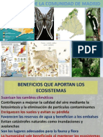 Ecosistemas de La Comunidad de Madrid