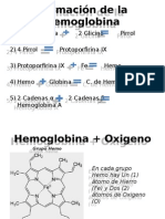 Presentacion Fisiologia Hemoglobina