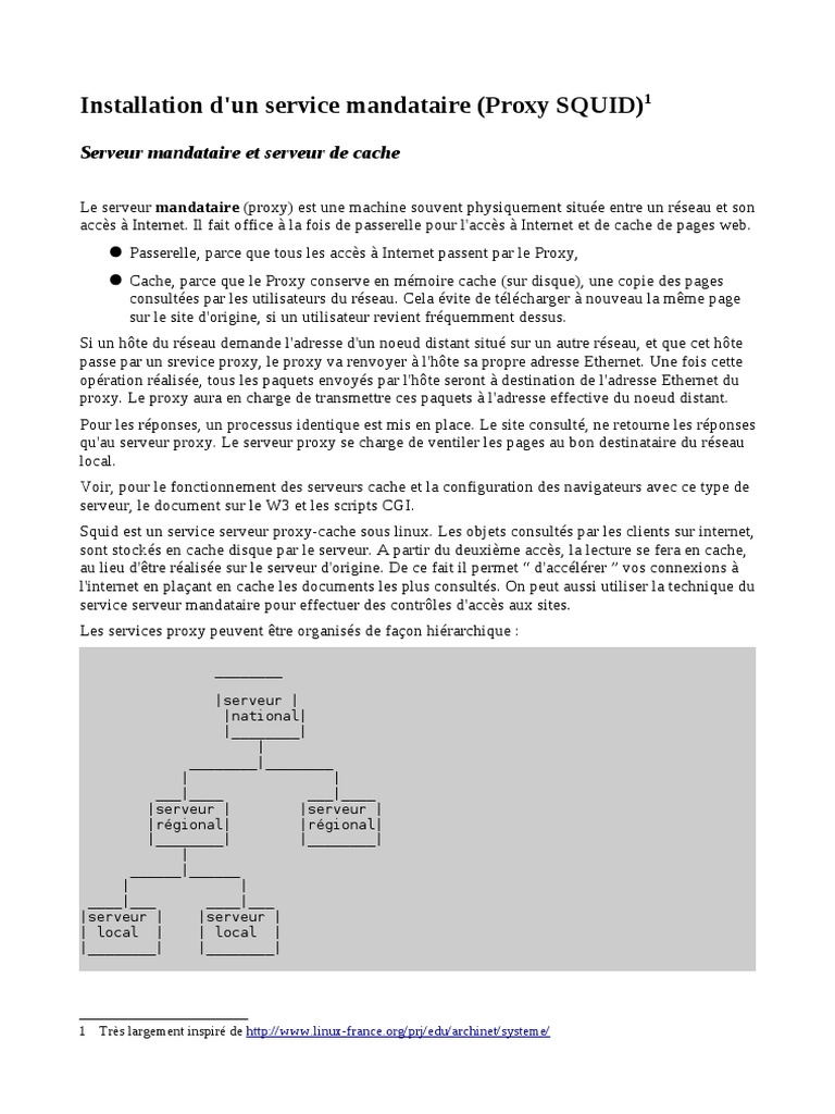 Squid | PDF