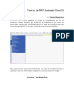 Tutorial de SAP Business One 8 Por Fabricio Moreno