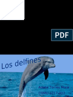 Los Delfines