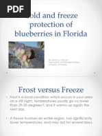Cold and Freeze Protection of Blueberries in Florida