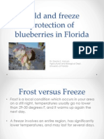 Cold and Freeze Protection of Blueberries in Florida