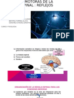 Exposicion  Fisiologia Morfo 1