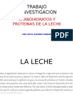 Bioquimica Exposicion Final Leche