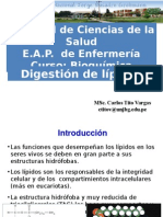 Digestion de Lipidos