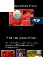 The Human Immune System