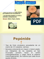 Peponide