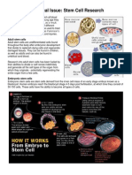 Bioethical Issue - Stem Cells