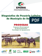 Diag Da Pecuaria Leiteira Do Mun de Barroso PDF