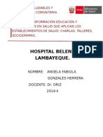 Técnicas de Información Educación y Comunicación en Salud Que Aplican Los Establecimientos de Salud