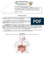 Guía de Aprendizaje Octavo Básico