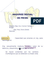 4da Madurez Sexual