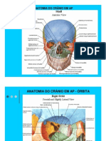 2010.02.11..aula3.4.fatec - Anatomia Radiológica Do Crânio