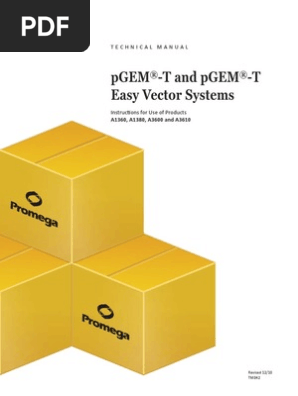 Иконка джипег. Achievement test 1 prepare 4!. Иконка джипег. T me pdf. Elementary communication ответы.