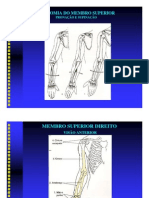 2010.02.17.aula7.8.fatec - Anatomia Radiológica Do Membro Superior