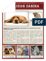 Complemento gratuito - nutrición canina