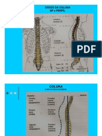 2010.02.25.aula15.16.fatec - Anatomia Radiológica Da Coluna Cervical