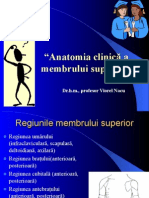 Membrul-superior.pdf