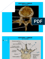 2010.03.03.aula19.20.fatec - Anatomia Radiológica Coluna Lombar