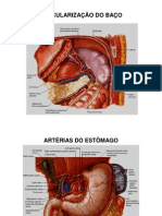 2010.04.07.aula47.48.fatec - Anatomia Radiológica Vascular Do Abdome