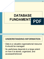 Database Fundamentals and Information Quality
