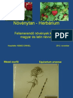 Növényfelismerés - Herbárium - Frissített