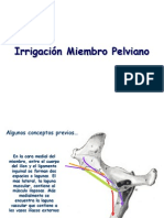 Irrigacion Pelviano