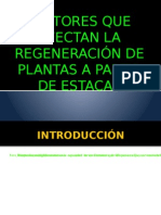 Factores Que Afectan La Regeneración de Plantas A Partir de Estacas