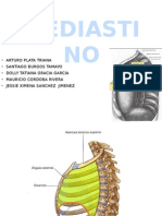 Mediastino ANATOMIA