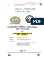 UNIVERSIDAD NACIONAL DEL CENTRO DEL PERU.pdf