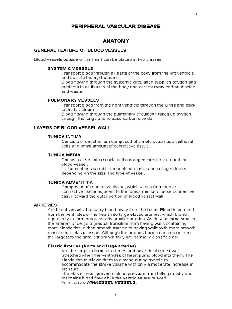 Peripheral Vascular Disease | PDF | Vein | Atherosclerosis