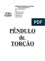 Análise do pêndulo de torção e obtenção da equação do período