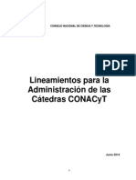 Lineamientos Catedras PDF