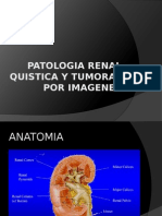 Patología renal quística y tumoral por imágenes