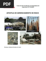 Apostila Gerenciamento de Risco 