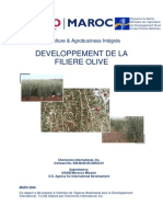 DEVELOPPEMENT DE LA FILIERE OLIVE.pdf