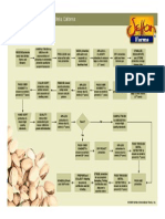 Pistachio Processing Flow