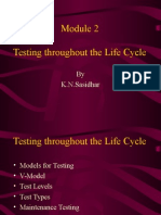 Testing Throughout The Life Cycle