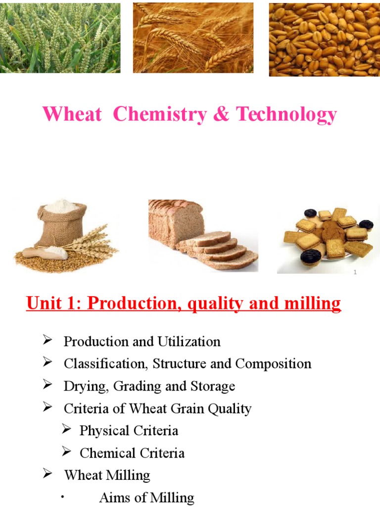 Wheat Structure and Chemical Composition | PDF | Gluten | Breads