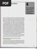 P1-C04 - Cómo Se Estudian Las Células